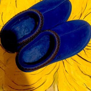 Blue tasman uggs